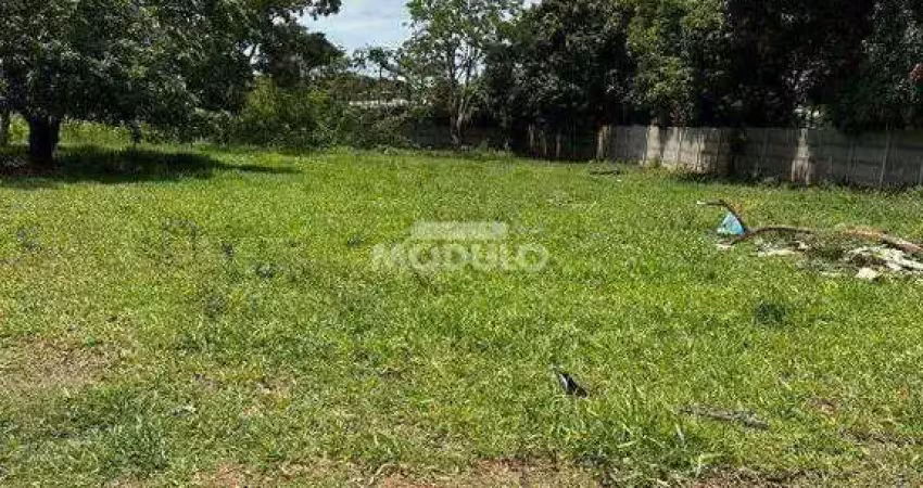Terreno à venda na Rua Maria Rosa Moutran, --, Morada Nova, Uberlândia