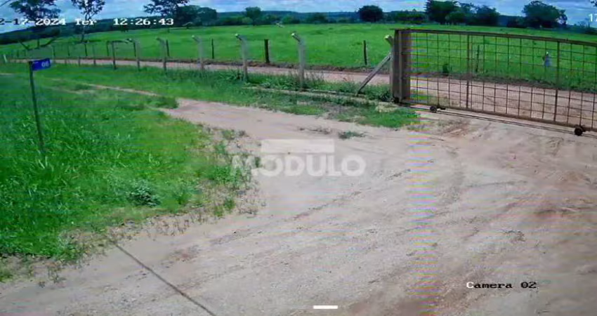 Chácara / sítio à venda na Rodovia BR-365, --, Área Rural de Uberlândia, Uberlândia