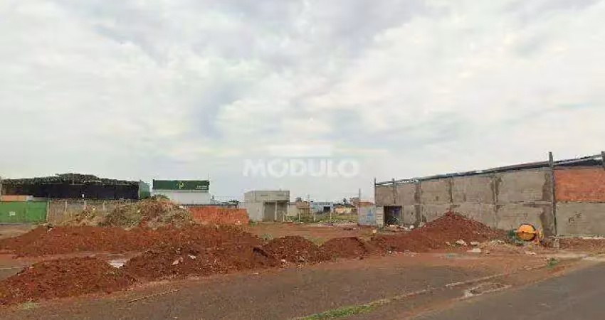 Terreno à venda na Professor Mário Godoy, --, Conjunto Segismundo Pereira, Uberlândia