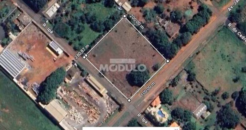 TERRENO de 5.000m² a VENDA - Avalia permuta em imóvel de menor valor.