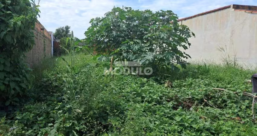Terreno à venda na Rua Ilka de Almeida, --, Shopping Park, Uberlândia