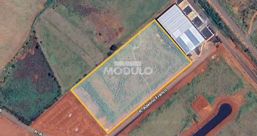 Terreno à venda, loteamento centro empresarial leste i - uberlândia/mg