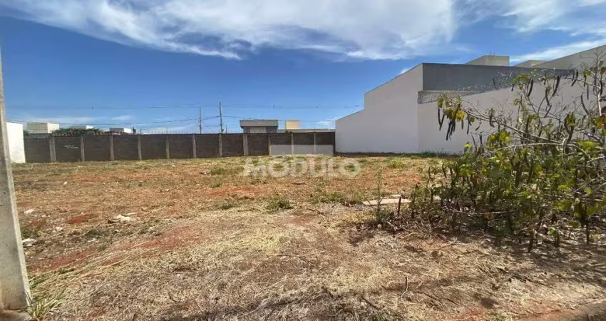 Terreno à venda na Avenida Palmeira Real, --, Novo Mundo, Uberlândia