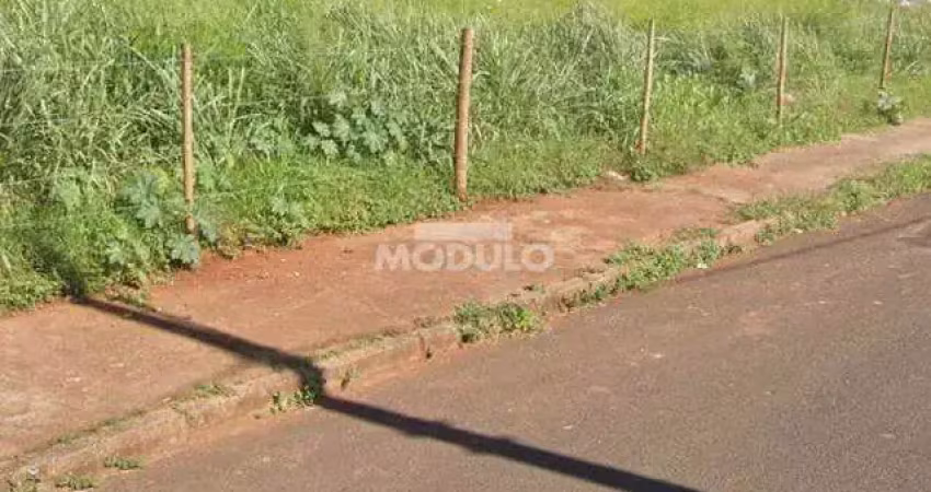 Terreno à venda na Rua Silex, --, Dona Zulmira, Uberlândia