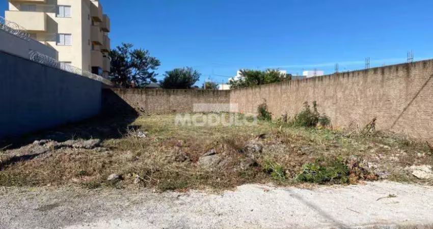 Terreno à venda na Rua José Pedro de Lima, --, Novo Mundo, Uberlândia