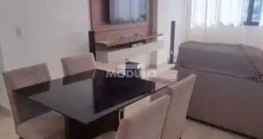 Apartamento à venda, 2 quartos, 1 suíte, 2 vagas, cazeca - uberlândia/mg