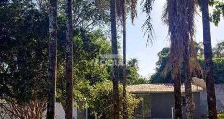 Chácara à venda, 3 quartos, 1 suíte, 6 vagas, morada nova - uberlândia/mg
