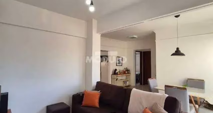 Apartamento à venda, 2 quartos, 1 suíte, 2 vagas, santa mônica - uberlândia/mg