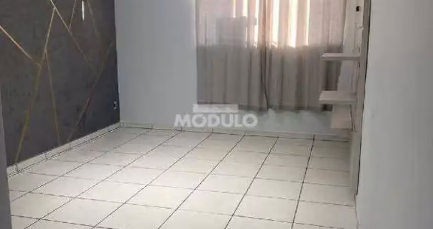 Apartamento à venda, 2 quartos, 1 suíte, 2 vagas, alto umuarama - uberlândia/mg