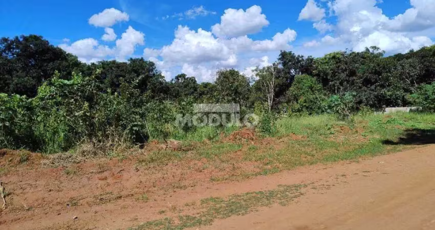 Terreno à venda na Rua Rubens Miguel, --, Morada Nova, Uberlândia