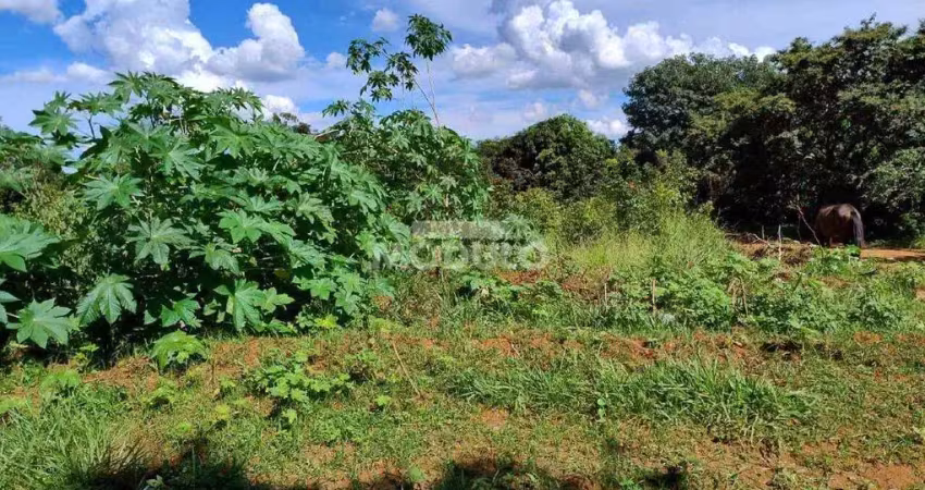 Terreno à venda na Rua Rubens Miguel, --, Morada Nova, Uberlândia
