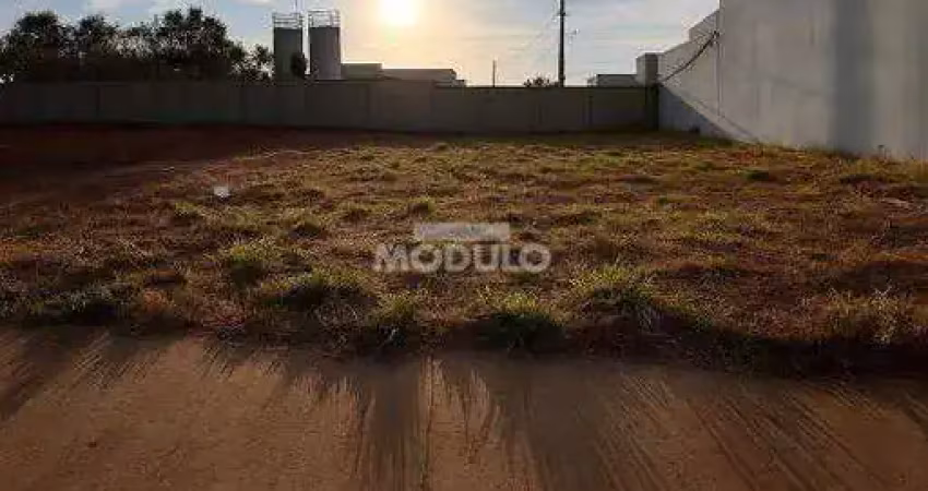 Terreno à venda na Avenida Victor Alves Pereira, --, Novo Mundo, Uberlândia