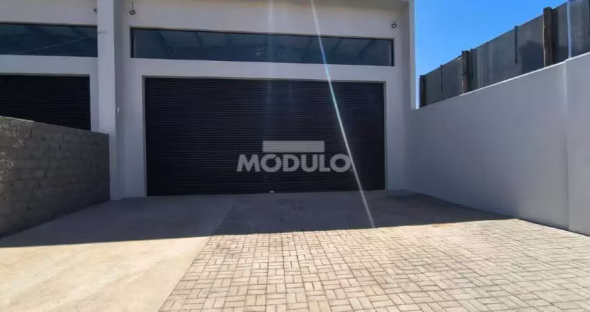 Barracão / Galpão / Depósito para alugar na Avenida Doutor Vicente Salles Guimarães, --, Aclimação, Uberlândia