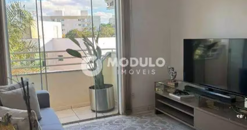 Apartamento à venda, 2 quartos, 1 suíte, 2 vagas, alto umuarama - uberlândia/mg