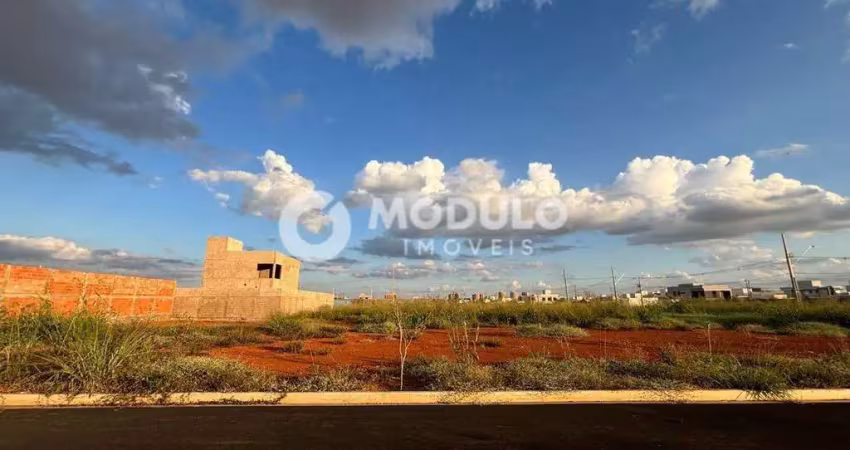 Terreno à venda na Avenida Palmeira Real, --, Novo Mundo, Uberlândia