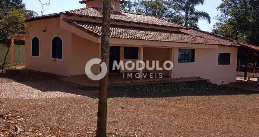 Casa com 4 quartos para alugar na Alameda África, --, Mansões Aeroporto, Uberlândia