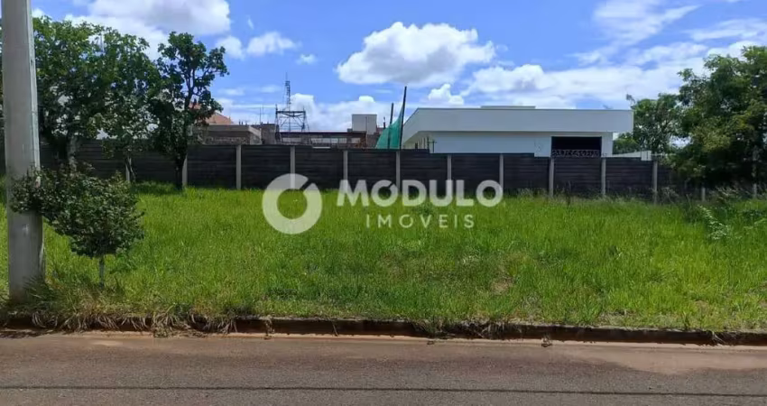 Terreno à venda na Rua Transição, --, Laranjeiras, Uberlândia