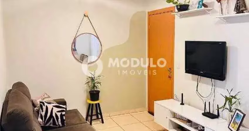 Apartamento à venda, 2 quartos, 1 vaga, chácaras tubalina e quartel - uberlândia/mg