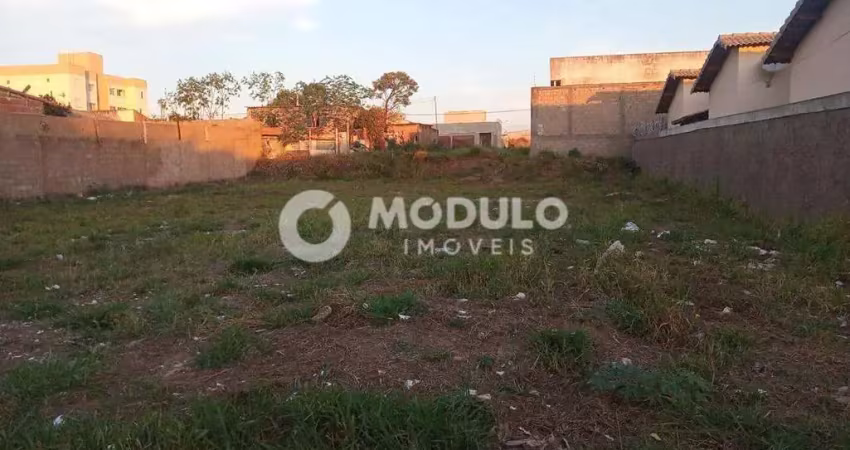 Terreno à venda na Rua Lourival Raghiante Samora, --, Shopping Park, Uberlândia