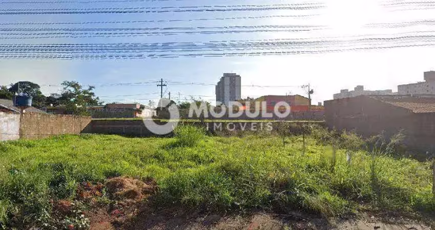Terreno à venda na Rua dos Resedas, --, Jardim Célia, Uberlândia
