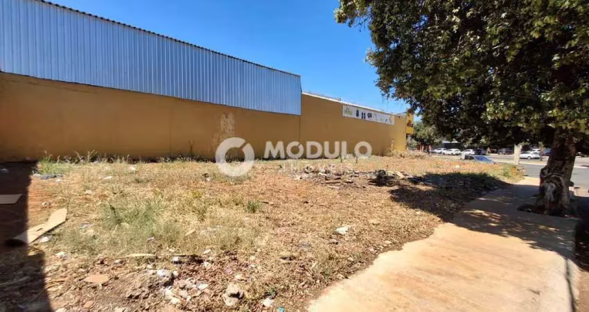 Terreno à venda na Rua Joaquina Porello Dias, --, Santa Mônica, Uberlândia