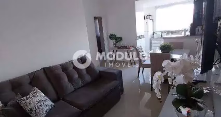 Apartamento à venda, 2 quartos, 1 vaga, santa mônica - uberlândia/mg
