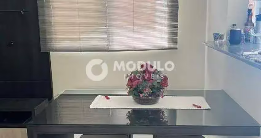 Apartamento à venda, 2 quartos, 1 vaga, shopping park - uberlândia/mg