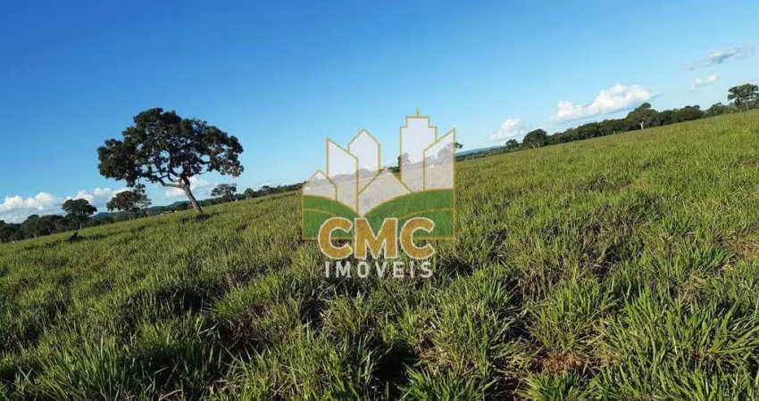 FAZENDA EM NOBRE 911 HA - PORTEIRA FECHADA 900 CABEÇAS DE GADO