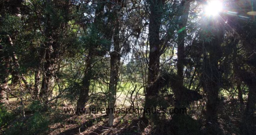 Terreno Condomínio em Taubaté