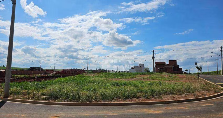 Terreno à venda, 246 m² por R$ 150.000,00 - Loteamento Bela Vida - Saltinho/SP