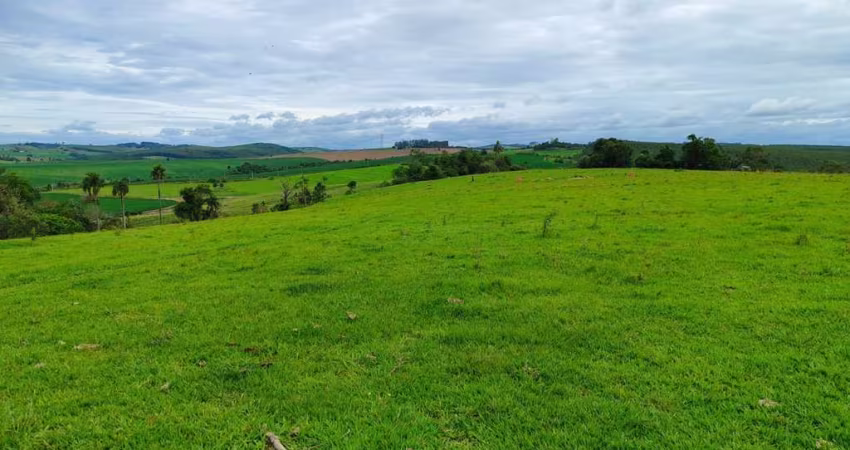 EXCELENTE SÍTIO A VENDA NA REGIÃO DE ITAPETININGA-SP ??   Área Total: 17,7 Alqueires   Pasto: 14 Alqueires   Restante: Reserva e App  Topografia: Ondulada   Solo: Misto   Hidrografia: Nascente, Ribeir