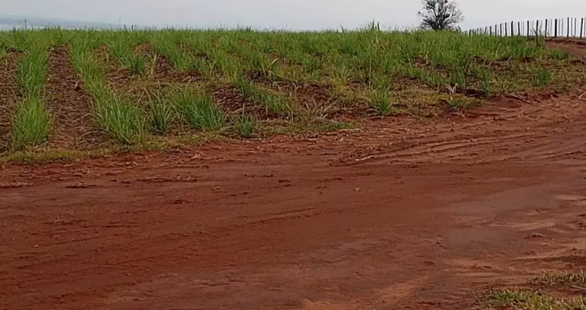 Fazenda de 500 alqueireis paulistas, sem benfeitorias, plantada em cana sai r$ 4.000,00 o alqueire pra arrendamento.