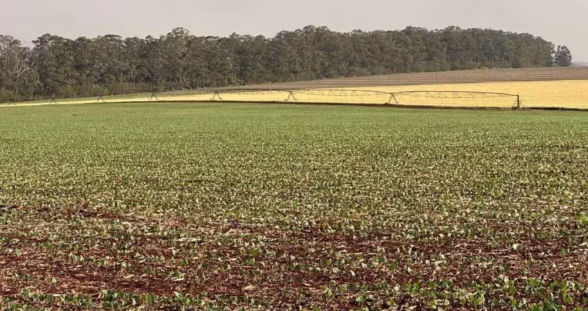 Excelente fazenda a venda na região de piraju-sp ??   localizada no município de bernardino de campos  área total de 235 alqueires ou 568,7 hectares   198 alqueires em plantio   102 alqueires c/ 6 piv