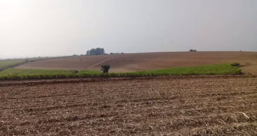 Fazenda à venda em Sorocaba-SP: 1 quarto, 1 banheiro, 1.016.400,00 m² na Área Rural de Sorocaba. Aproveite!