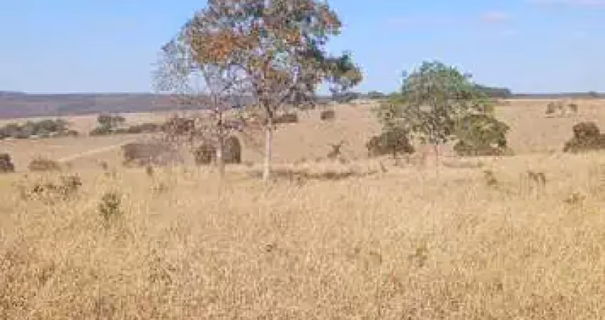 Fazenda disponível pra venda......no estado de goiás........no município de luziania. goiás......valor da pedida 230.000.00 por alqueires........ou ta