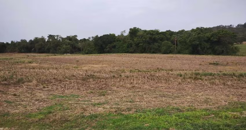 SÍTIO A VENDA EM ANGATUBA-SP   Área Total: 32,91 Hectares ou 13,6 Alqueires   10 Alqueires de Aproveitamento   Terra Mista de Lavoura  Rico em Água, Nascente, Ribeirão e Rio Guareí no Fundos   Boa Top
