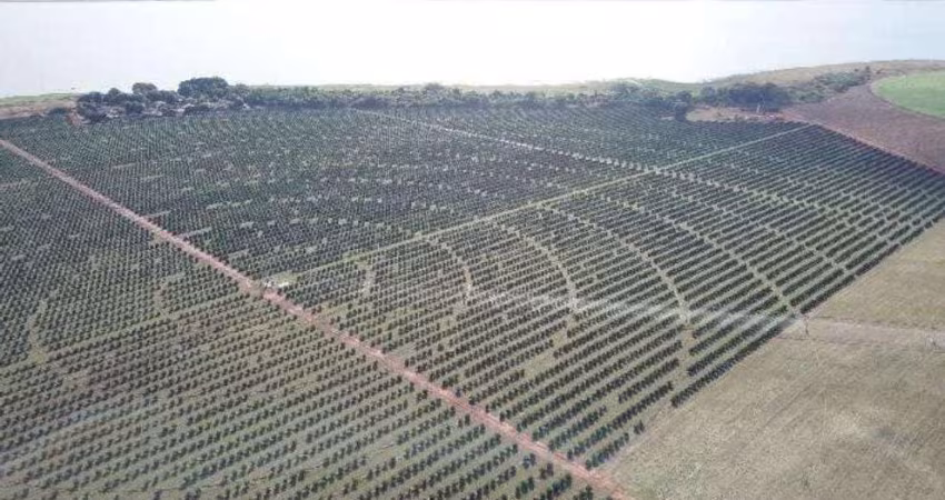 Fazenda de luxo à venda em Cardoso-SP, Zona Rural: 3 quartos, 1 suíte, 3 salas, 2 banheiros, 3 vagas de garagem, 1.583.164,00 m².