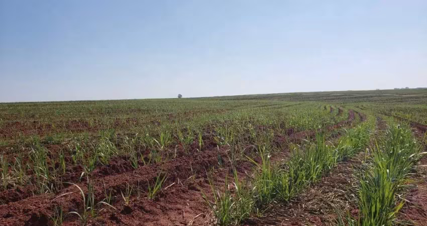 Fazenda à venda em nova granada-sp, zona rural: 1 quarto, 1 banheiro, 1.718.200,00 m² de área. venha conferir!