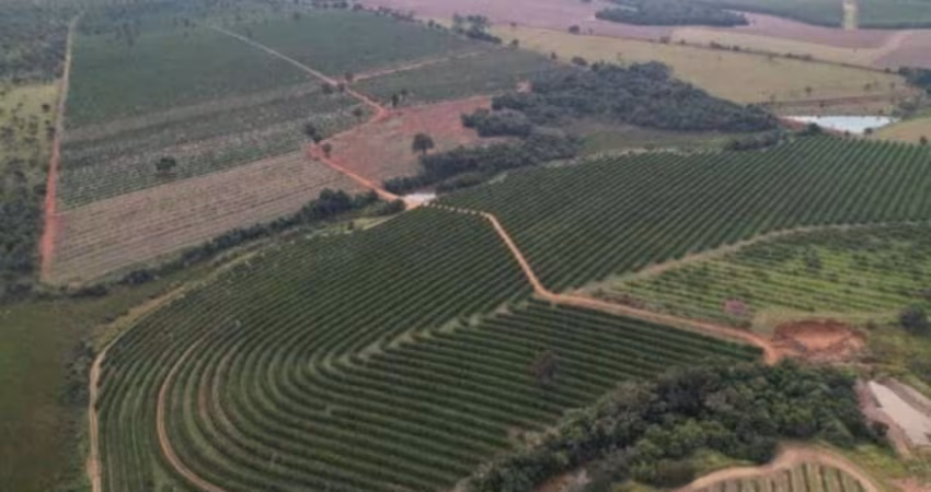 Fazenda de Laranjas 170 Alqueires   97 Alqueires em Laranja  Podendo Plantar mais 20 Alqueires   106.328,00 Pés de Laranja  Variedades: Pêra Rio, Folh
