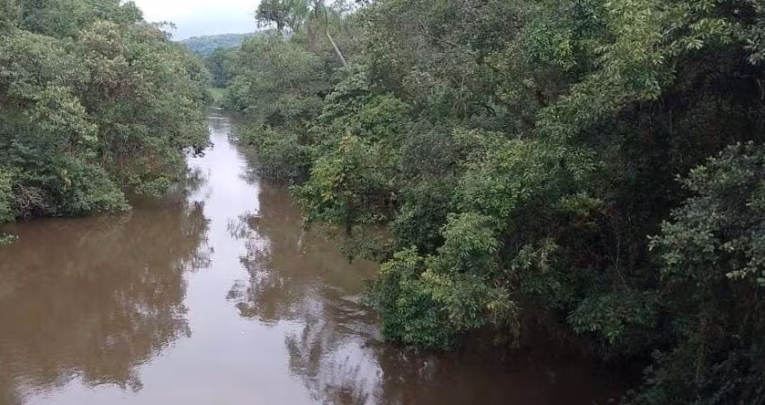 EXCELENTE ÁREA PARA COMPENSAÇÃO AMBIENTAL NO ESTADO DE SÃO PAULO ??   Localizada na Região do Vale do Ribeira   Município de Sete Barras   Área Tota