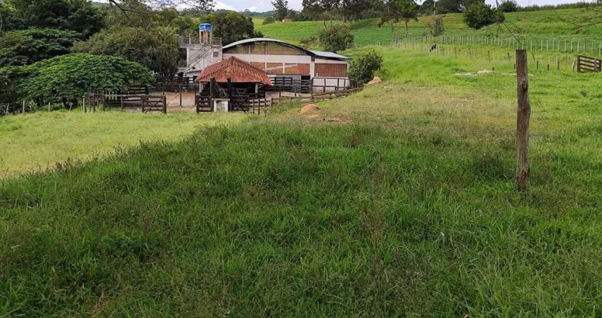 Fazenda 128,26 Hectares ou 53 Alqueires   Formada em Pasto   Conta com uma Estrutura de Primeira Qualidade para Pecuária de Corte  Boa Topografia e Bo
