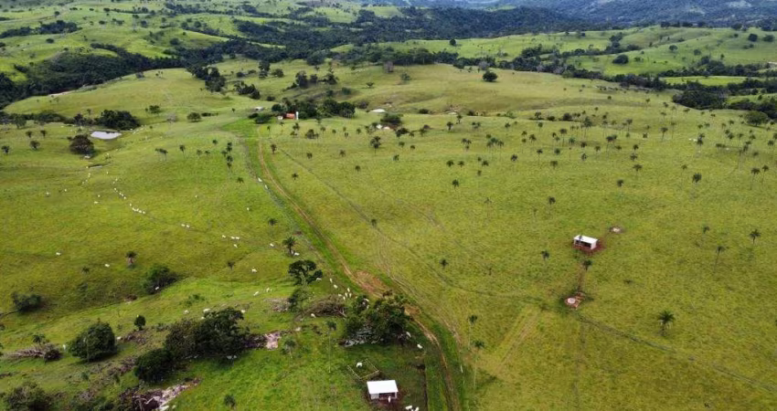 Fazenda - 445 alqueires goiano - 30 km de Itapaci - 15 km do asfalto - 05 casas boas - 01 casa média - 03 curral ferro galvanizado - 01 curral aroeira