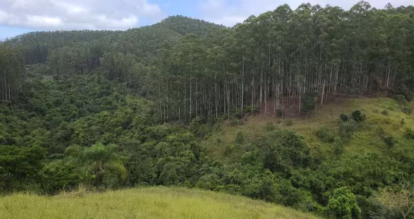 Fazenda de Eucaliptos 241,88 Alqueires ou 585,36 Hectares   Aproveitamento: 145,90 Alqueires ou 353,08 Hectares  120 Alqueires ou 290,42 Hectares em E