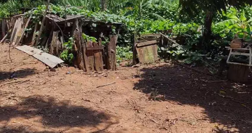 Sítio 5 alqueires em casa branca 5 mil pés de café produzindo com divisórias com trator e casa de caseiro e casa para morar 800,000,00 mil 1 km de estrada de chão