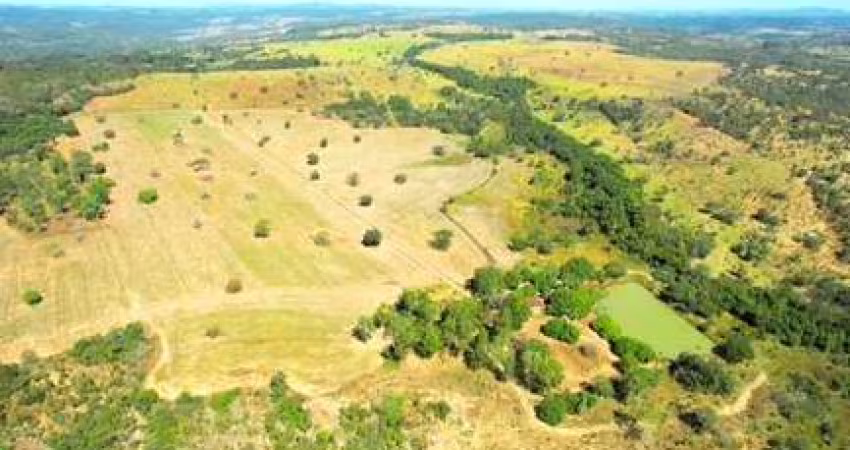Fazenda 46 Alqueires  Dupla Aptdão Anápolis- GO 15 km do Daia 03 km de estrada de chão 21 alqueires Planta 75 há  Argila 28% Toda cercada  Córrego Nas