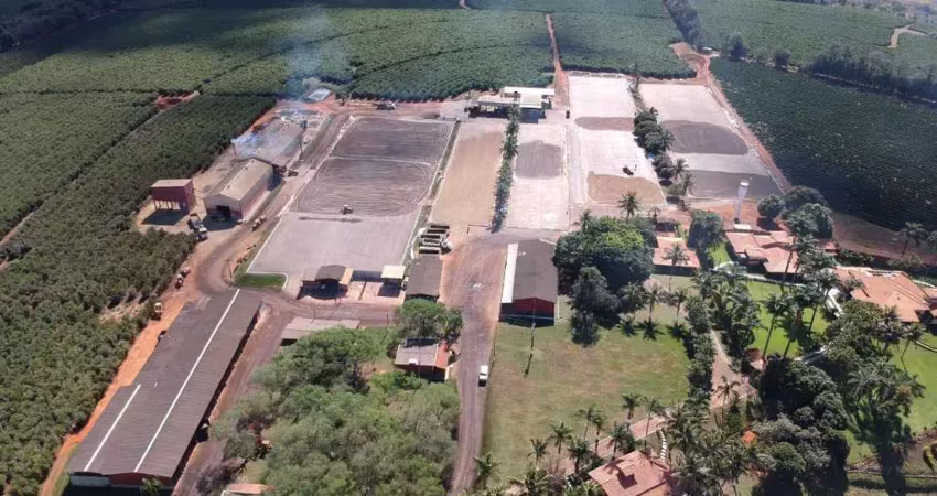 Fazenda de café -área total 1.333 hectares -área com plantio de café 850 hectares contendo 4 milhões de pés de café e altitude de 850 metros  -planta