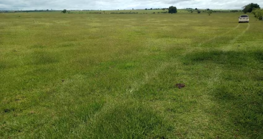 Fazenda 250 Alqueires Área para Plantio de aproximadamente 240 Alqueires   Excelente Aproveitamento   Está em Pasto   Teor de Argila de 18% a 30%  Ric