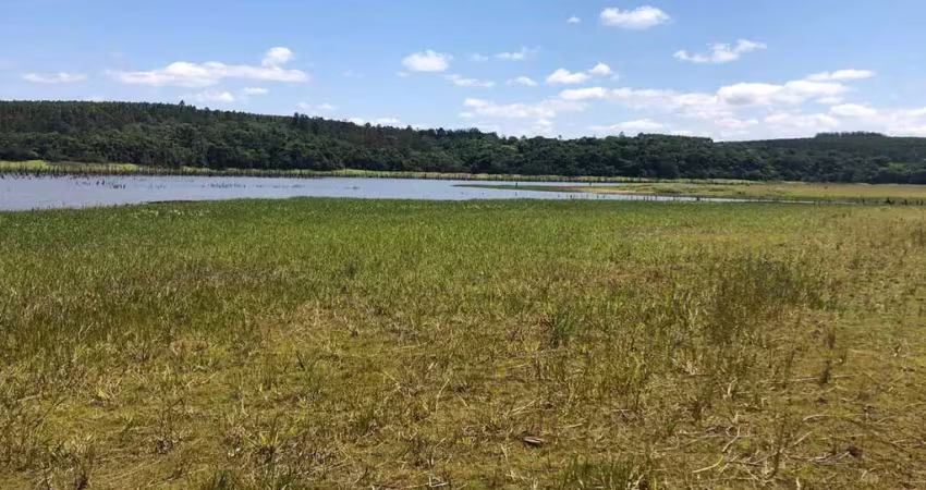 Fazenda área total 62 alqueires   área em plantio 49 alqueires  topografia plana  terra mista a argilosa   rica de água  pega o rio paranapanema  argi