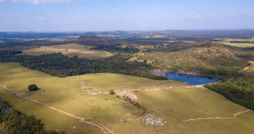 FAZENDÃO A VENDA NO ESTADO DO TOCANTINS-TO ??  *Área Total: 18.800 Mil Hectares 7.800 Alqueires Paulista  3.900 Alqueirão *Localização: Goiatins/TO