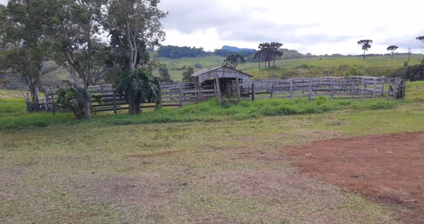 Fazenda 402 Alqueires  - Sendo 140 Alqueires em Plantio de Grãos (Planta mais 40 Alqueires)   - 20% Reserva e App  - Restante todo em Pasto   - Solo